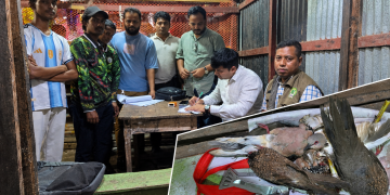 কলাপাড়ায় পাখি দিয়ে মাদক পার্টির প্রস্তুতিকালে দুই যুবকের কারাদণ্ড