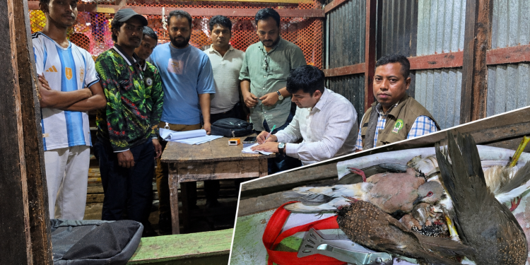 কলাপাড়ায় পাখি দিয়ে মাদক পার্টির প্রস্তুতিকালে দুই যুবকের কারাদণ্ড