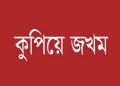 গলাচিপায় জমি নিয়ে বিরোধে দম্পতিকে কুপিয়ে জখম