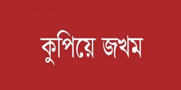 গলাচিপায় জমি নিয়ে বিরোধে দম্পতিকে কুপিয়ে জখম